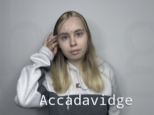 Accadavidge