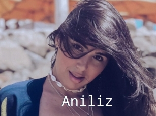 Aniliz