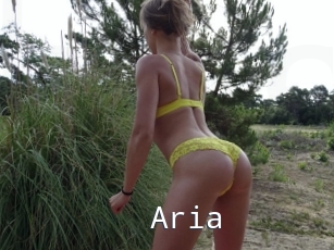 Aria