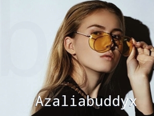 Azaliabuddyx