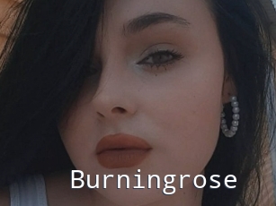 Burningrose