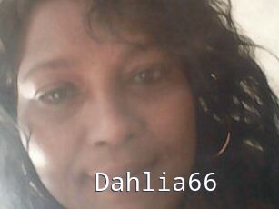 Dahlia66