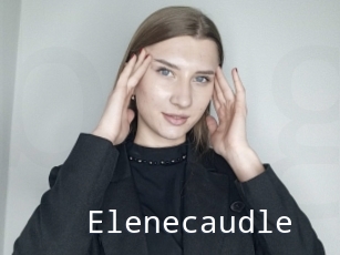 Elenecaudle