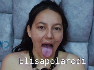 Elisapolarodi