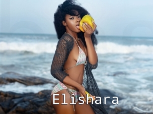 Elishara