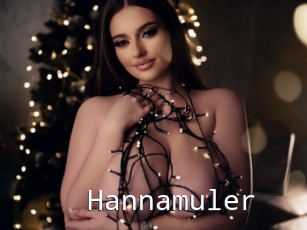 Hannamuler