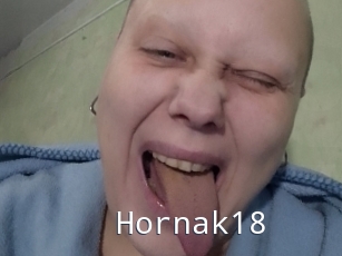 Hornak18