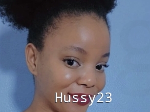 Hussy23