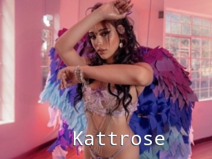 Kattrose