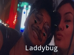 Laddybug