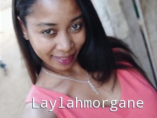 Laylahmorgane