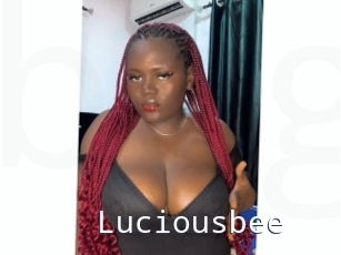 Luciousbee