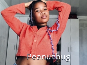 Peanutbug