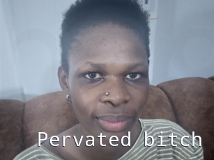 Pervated_bitch