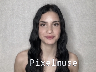 Pixelmuse