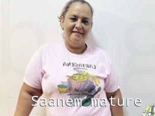 Saanem_mature