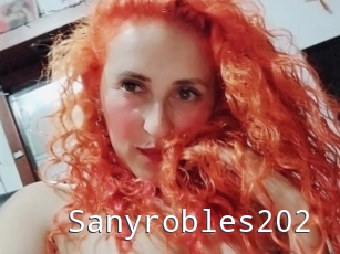 Sanyrobles202