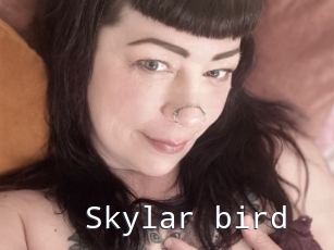 Skylar_bird