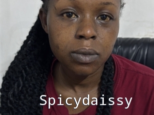 Spicydaissy