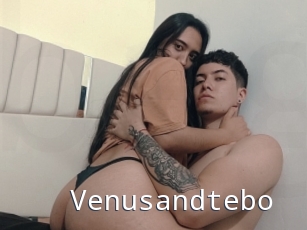 Venusandtebo