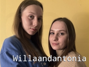 Willaandantonia